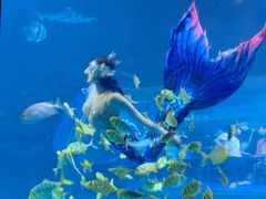 -太平洋海底世界