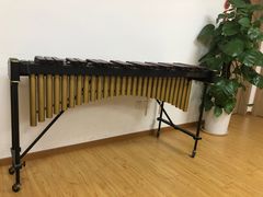 -音歆国艺馆·民乐培训(双榆树店)