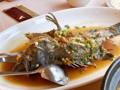 -金鮀岛潮州酒家