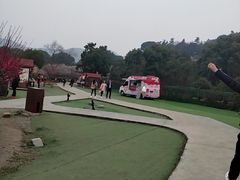 -香雪海