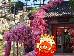 -淄博聊斋城景区
