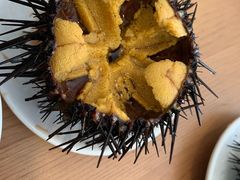 -海胆小馆(东北水饺·春柳店)