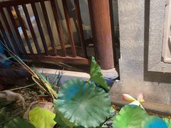 -韵秋荷(宝山龙湖天街店)