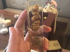 猫屎咖啡-巴厘岛黄金金兔咖啡工厂