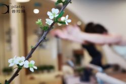 点击看大图 -阿南达·瑜伽普拉提·阿育吠陀疗愈中心