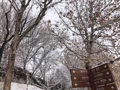 -静之湖湖畔餐厅