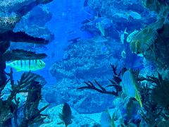 -海合安成都极地海洋公园