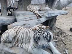 -北京野生动物园