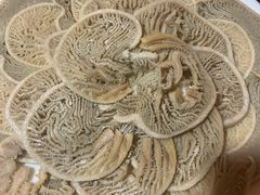 -凤来栖·净庭院·火锅(欧尚店)