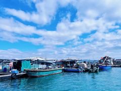 -清水湾旅游度假区
