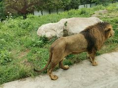 -西安秦岭野生动物园
