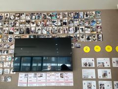 -艾贝尔宠物医院·24H转诊中心·肿瘤猫专科(江宁双龙店)