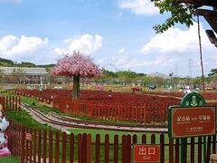 -盈香心动乐园
