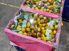 -西郊国际农产品交易中心