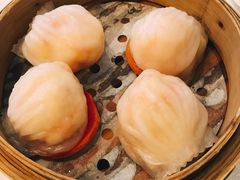 -西苑半岛·中餐厅