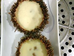 -蚝专家(北滘店)