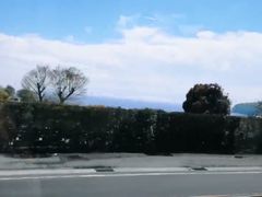 -伊豆观海列车