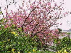 -中南财经政法大学(首义校区)