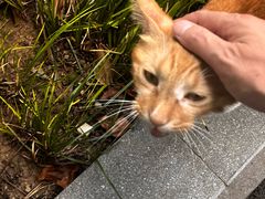 -瑞鹏宠物医院·宠保定点·心脏科·内科(御桥分院)