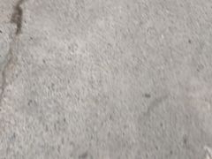 -解家河南菜(金水路店)