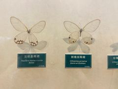 -陕西自然博物馆