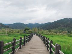 -泸沽湖国家级风景名胜区走婚桥