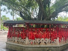 -海南文笔峰盘古文化旅游区