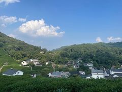 -龙井村