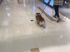 -海马体照相馆(重庆龙湖时代天街D馆店)