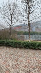 -南京市儿童医院(河西院区)