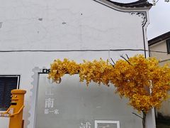 -江南第一家