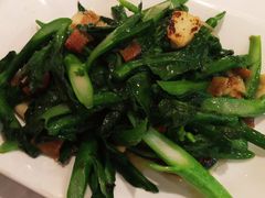 生炒菜心苗-宜宾海鲜酒家·三十年老字号