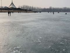-丁香湖公园