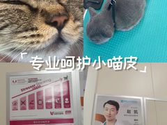 -美联众合爱康动物医院•复杂内科•肿瘤科•牙科•腔镜诊疗中心