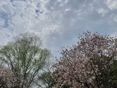 -长广溪湿地公园