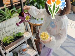 -京北渔家傲