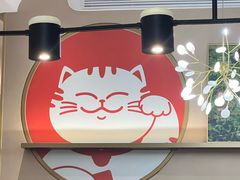 -佬肥猫(七宝宝龙店)
