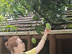 -西双版纳傣族园