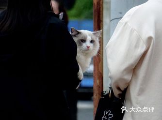 拍照技巧大揭密|实践才能出真理