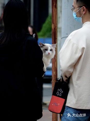 拍照技巧大揭密|实践才能出真理