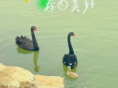 -天津水上公园