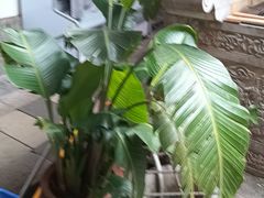 -香满楼(临安路店)