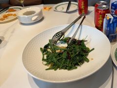 -三强鸽子(胜利路店)