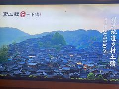 -富正毅三下锅·湘西韵味(天门山索道店)