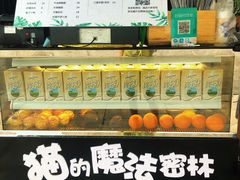 -猫的魔法密林(衣裳街店)