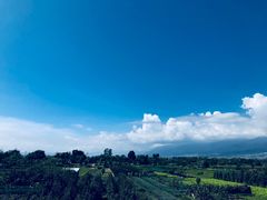 -翠田Green Field Kitchen