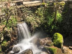 -藏龙百瀑风景区