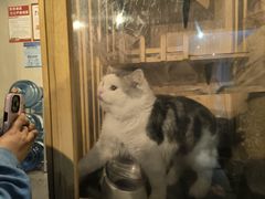 -Mr.Fox狐狸先生超级密室(南山店)