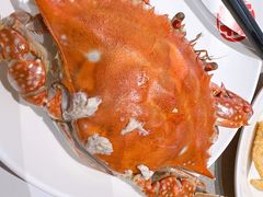 梭子蟹-大锅强·蒸海鲜青岛菜(城市阳台店)