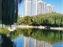 -团结湖公园